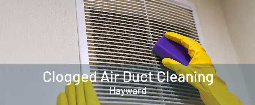Clogged Air Duct Cleaning Hayward
